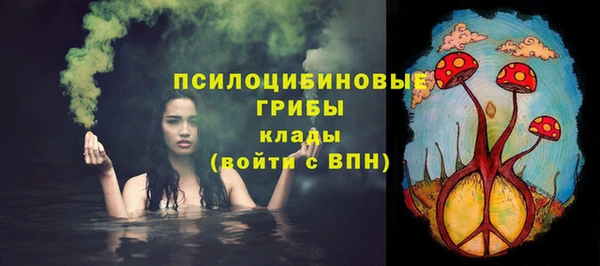 винт Абаза
