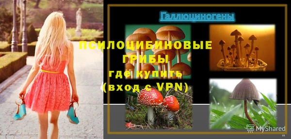 винт Абаза