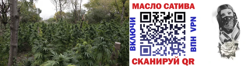 нарко площадка официальный сайт  Чегем  Дистиллят ТГК гашишное масло 