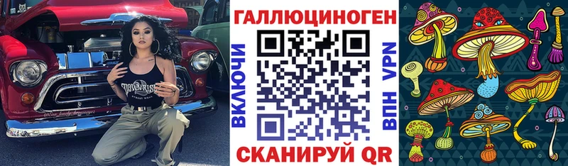 маркетплейс официальный сайт  Чегем  Псилоцибиновые грибы ЛСД 